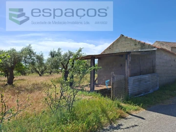 Terreno para Venda em Vale de Prazeres e Mata da Rainha