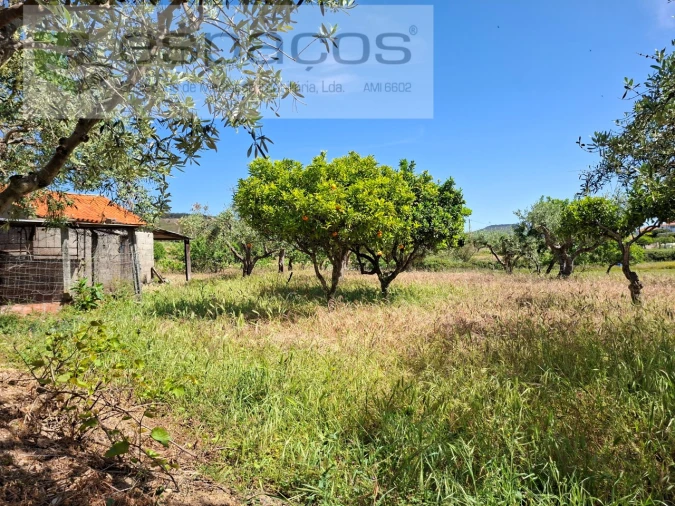 Terreno para Venda em Vale de Prazeres e Mata da Rainha Foto 4
