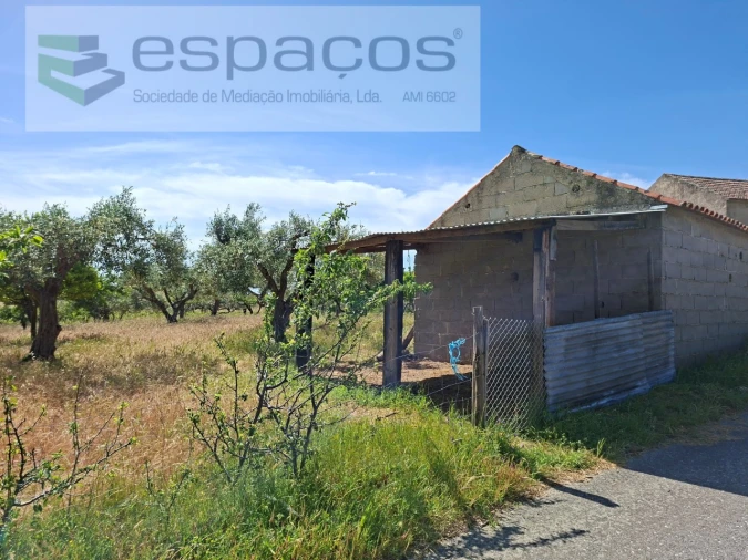 Terreno para Venda em Vale de Prazeres e Mata da Rainha Foto 6