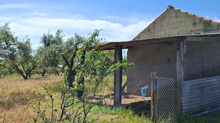 Terreno para Venda em Vale de Prazeres e Mata da Rainha