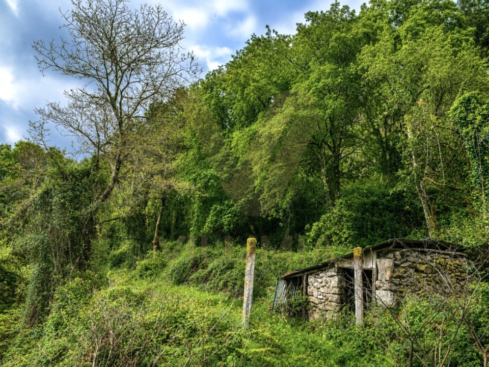 Terreno para Venda em Gondufe Foto 2