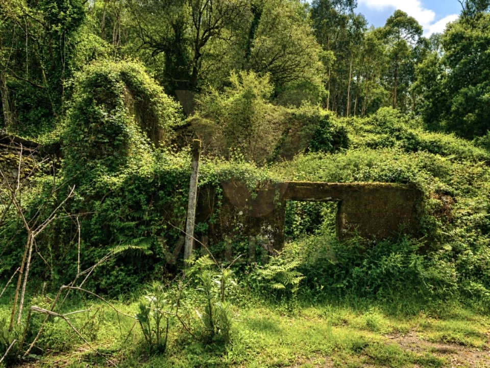 Terreno para Venda em Gondufe Foto 3
