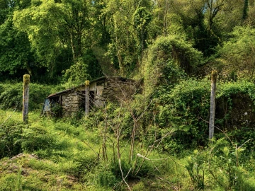 Terreno para Venda em Gondufe