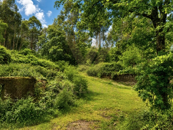 Terreno para Venda em Gondufe Foto 4