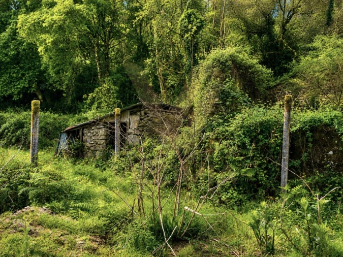 Terreno para Venda em Gondufe Foto 5