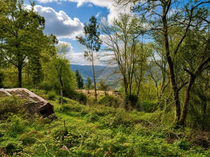 Terreno para Venda em Gondufe Foto 7