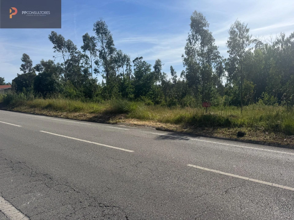 Terreno para Venda em Palhaça Foto 1
