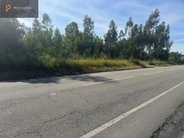 Terreno para Venda em Palhaça