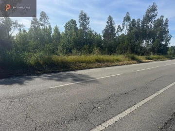 Terreno para Venda em Palhaça