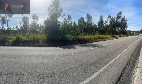 Terreno para Venda em Palhaça