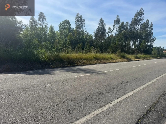 Terreno para Venda em Palhaça Foto 2