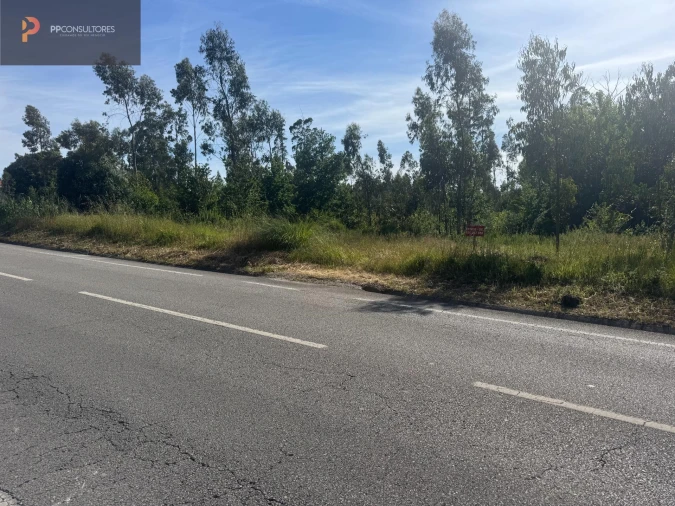 Terreno para Venda em Palhaça Foto 3