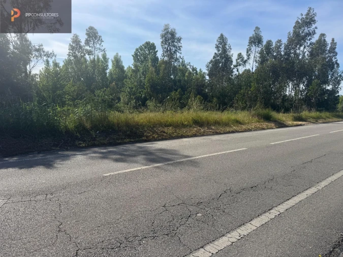 Terreno para Venda em Palhaça Foto 4