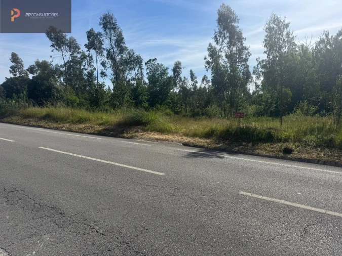 Terreno para Venda em Palhaça Foto 5