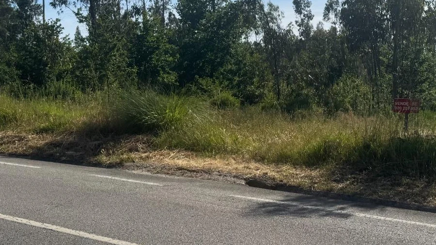Terreno para Venda em Palhaça