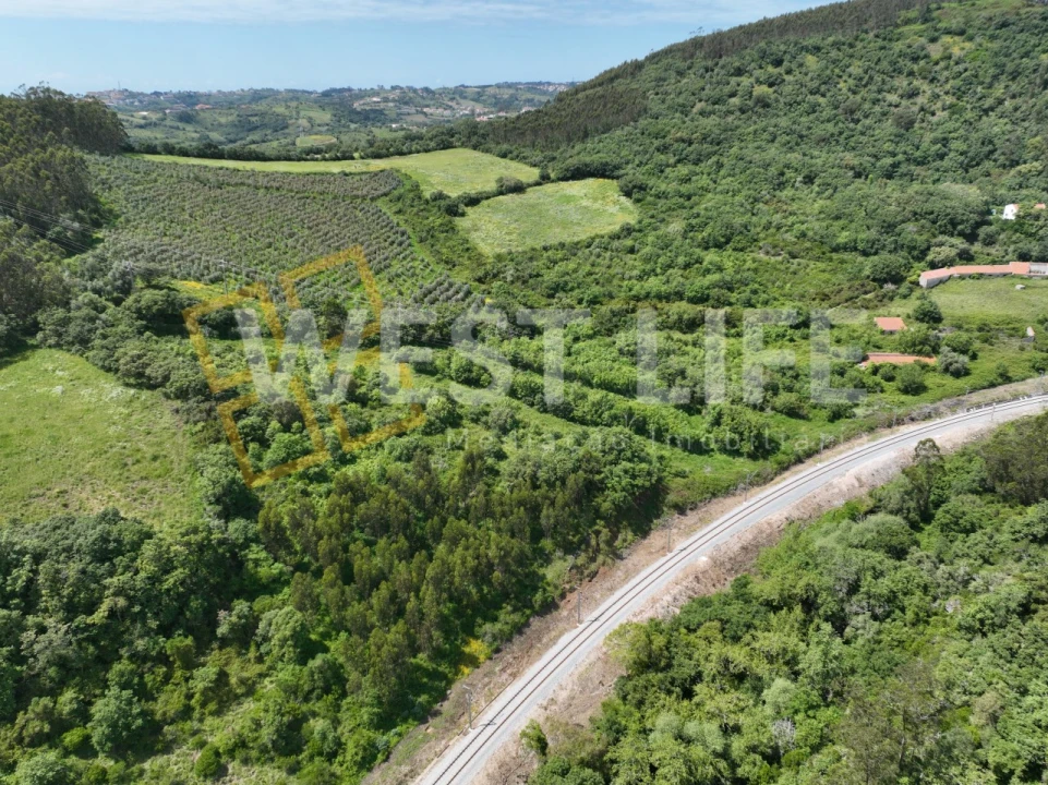 Terreno Agricola ou Rústico para Venda em Malveira e São Miguel de Alcainça Foto 1