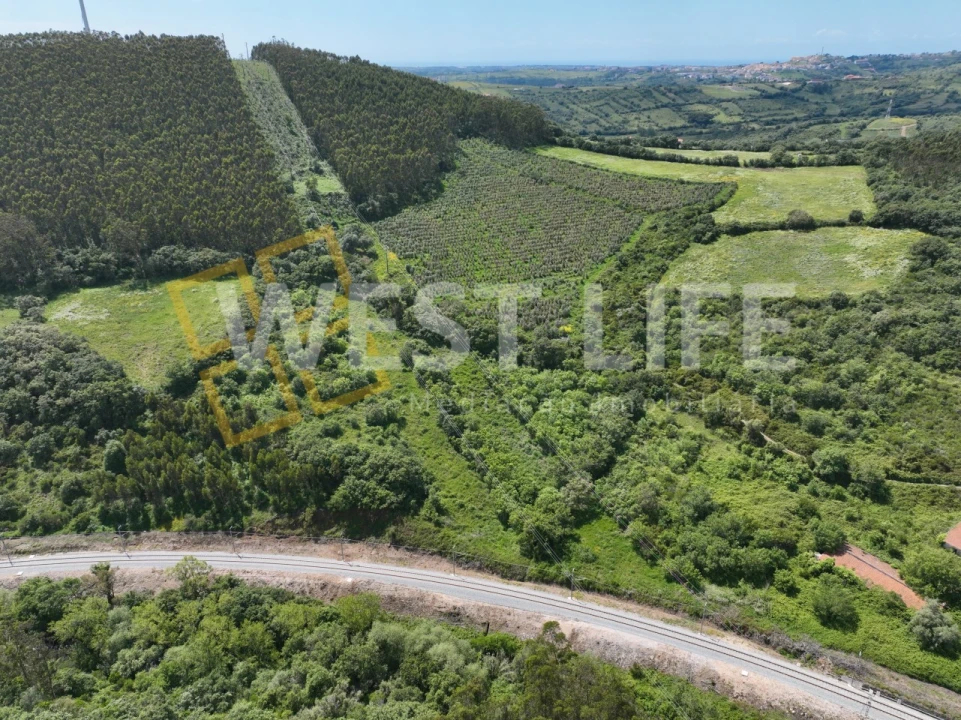 Terreno Agricola ou Rústico para Venda em Malveira e São Miguel de Alcainça Foto 14