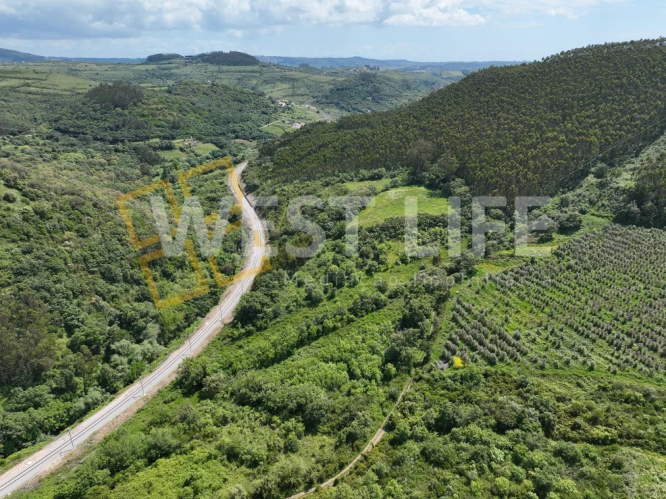Terreno Agricola ou Rústico para Venda em Malveira e São Miguel de Alcainça Foto 15