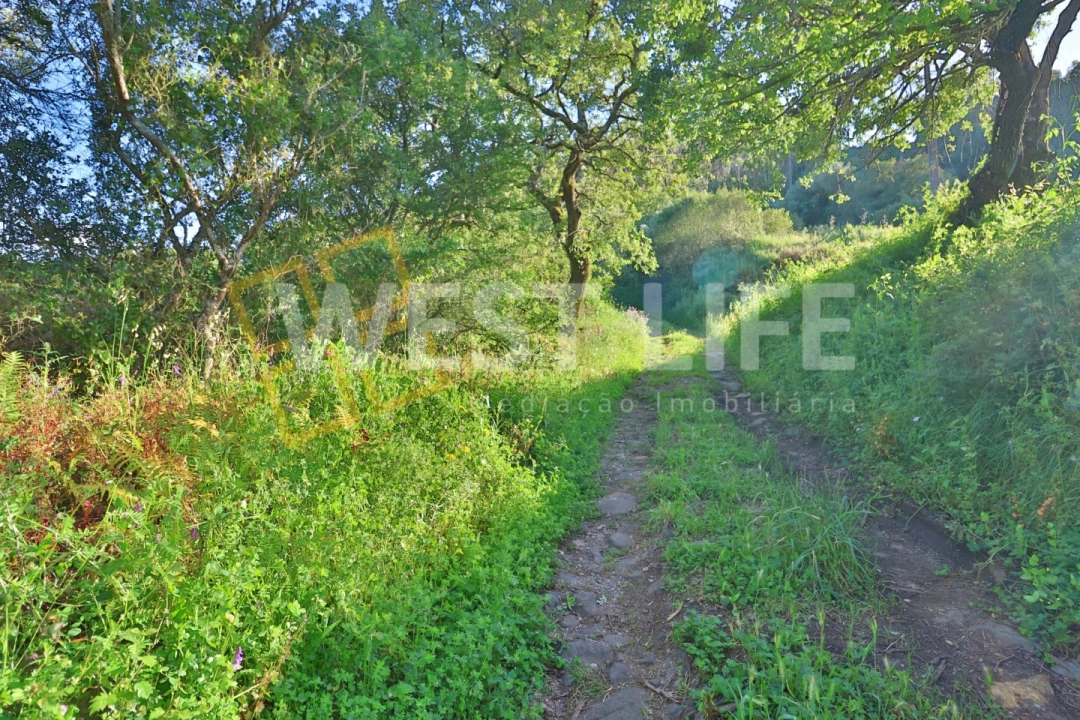 Terreno Agricola ou Rústico para Venda em Malveira e São Miguel de Alcainça Foto 11