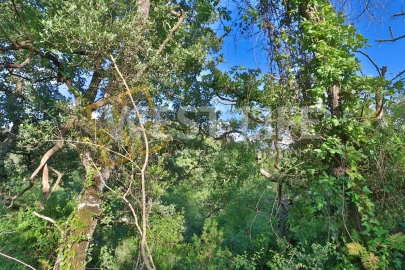 Terreno Agricola ou Rústico para Venda em Malveira e São Miguel de Alcainça