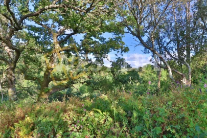 Terreno Agricola ou Rústico para Venda em Malveira e São Miguel de Alcainça