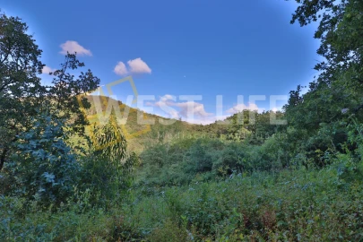 Terreno Agricola ou Rústico para Venda em Malveira e São Miguel de Alcainça