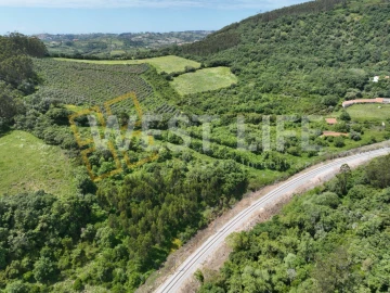 Terreno Agricola ou Rústico para Venda em Malveira e São Miguel de Alcainça