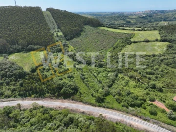 Terreno Agricola ou Rústico para Venda em Malveira e São Miguel de Alcainça