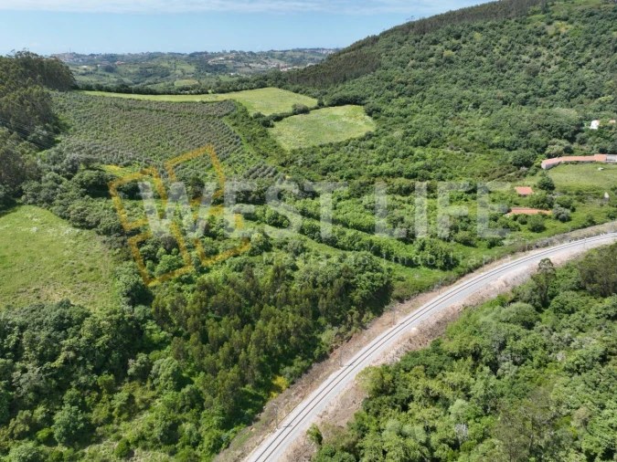 Terreno Agricola ou Rústico para Venda em Malveira e São Miguel de Alcainça