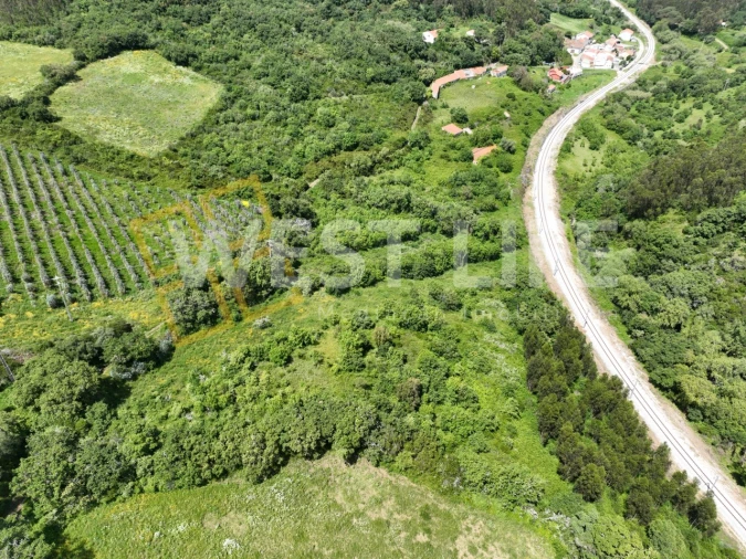 Terreno Agricola ou Rústico para Venda em Malveira e São Miguel de Alcainça Foto 13
