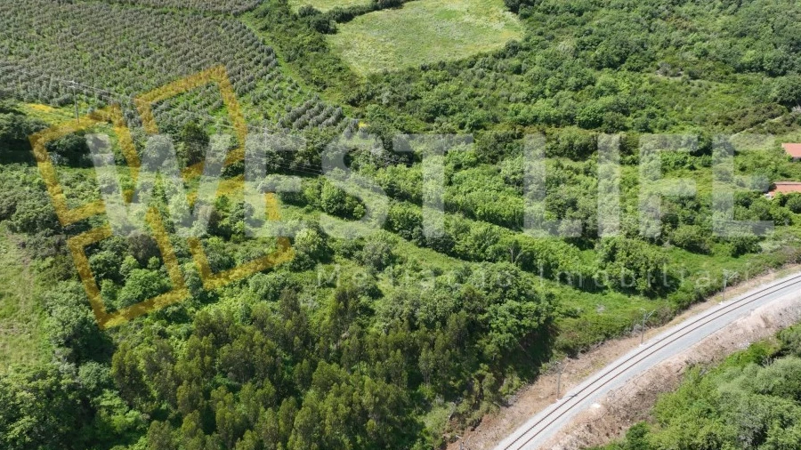 Terreno Agricola ou Rústico para Venda em Malveira e São Miguel de Alcainça