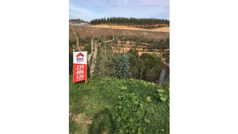 Terreno para Venda em Ceira