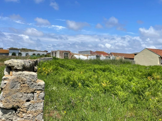 Terreno para Venda em Monte Foto 3