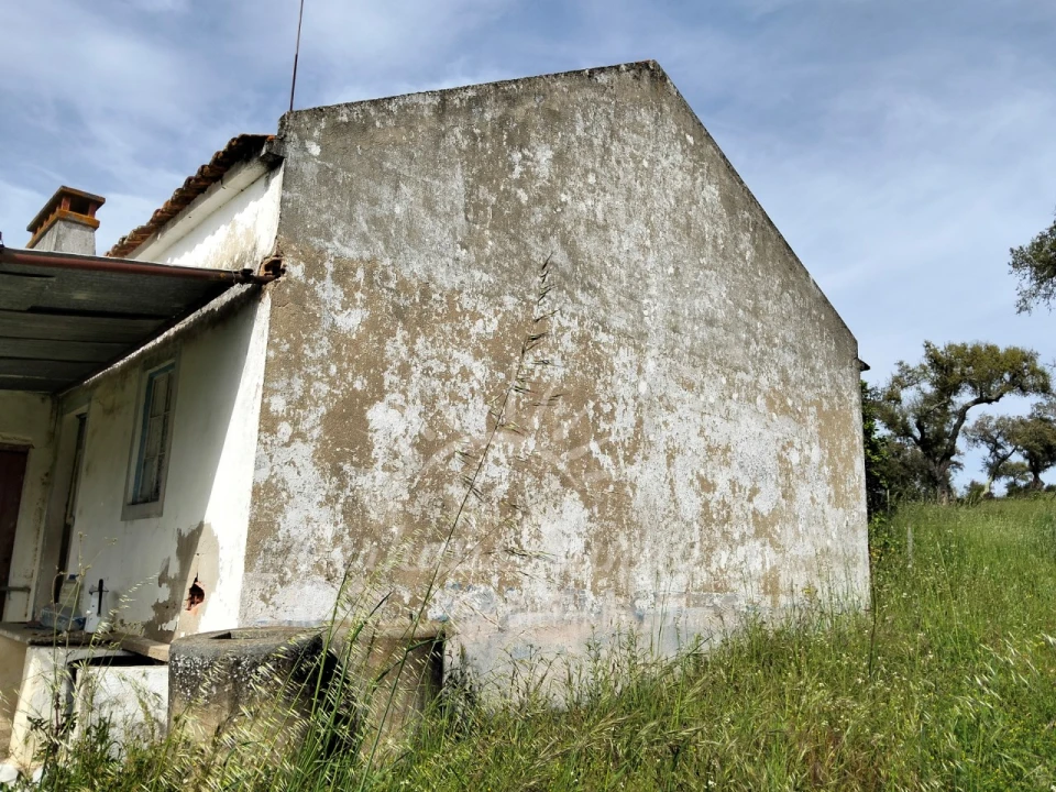 Terreno Misto para Venda em Grândola e Santa Margarida da Serra Foto 3