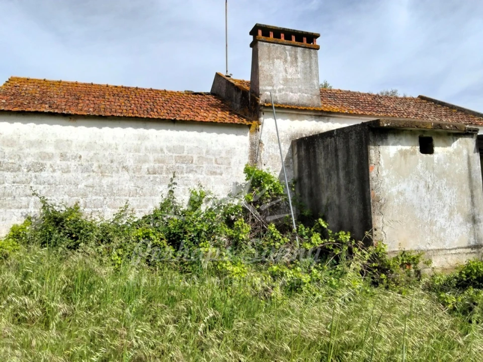 Terreno Misto para Venda em Grândola e Santa Margarida da Serra Foto 7