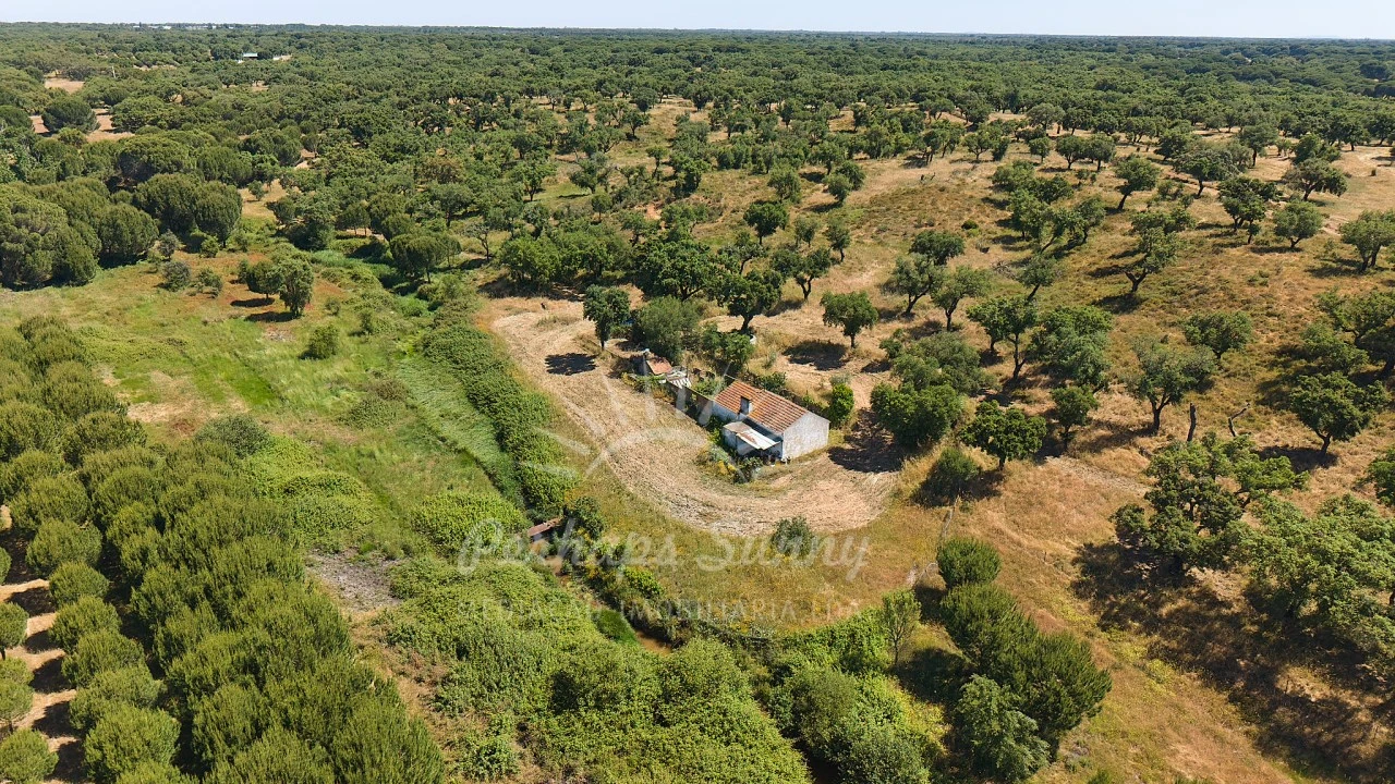Terreno Misto para Venda em Grândola e Santa Margarida da Serra Foto 30