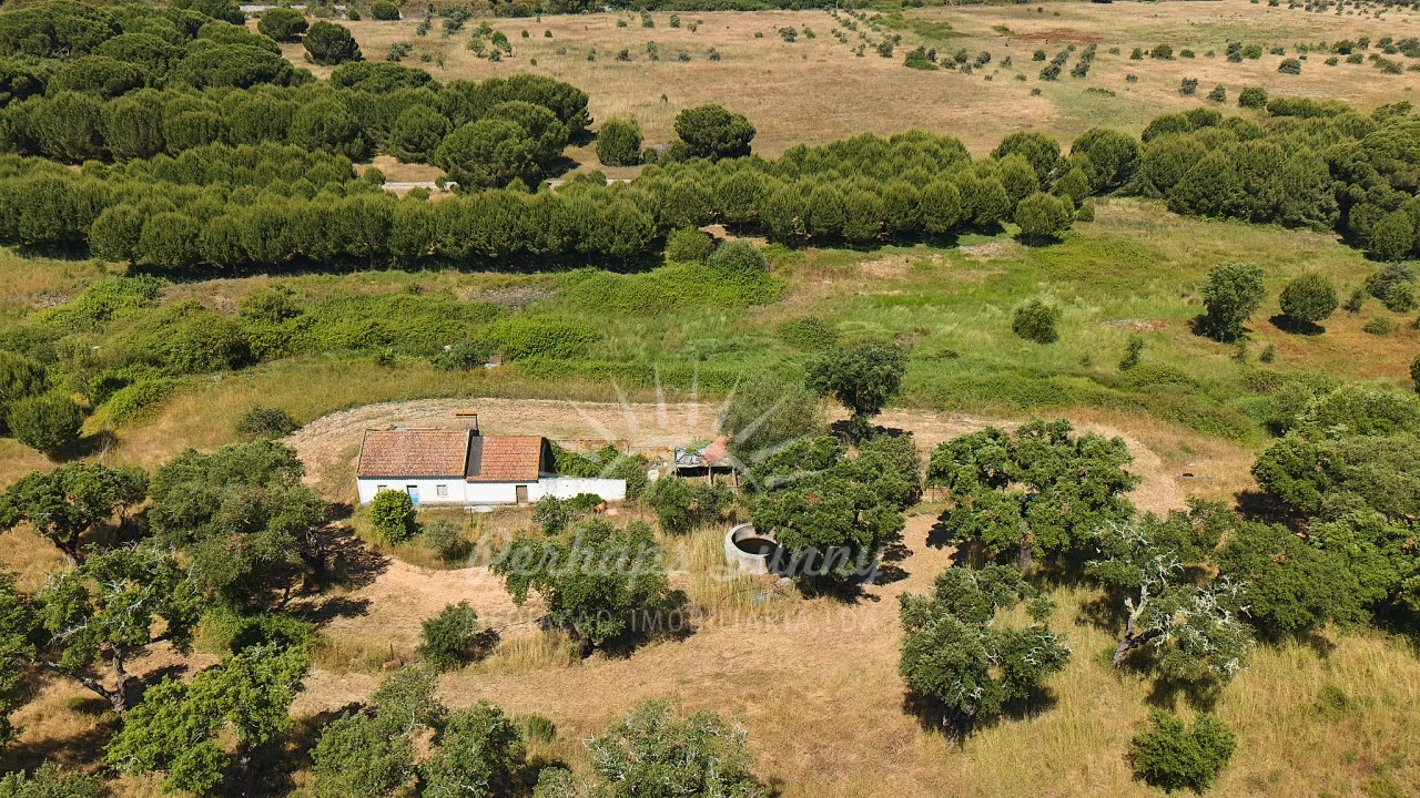 Terreno Misto para Venda em Grândola e Santa Margarida da Serra Foto 32