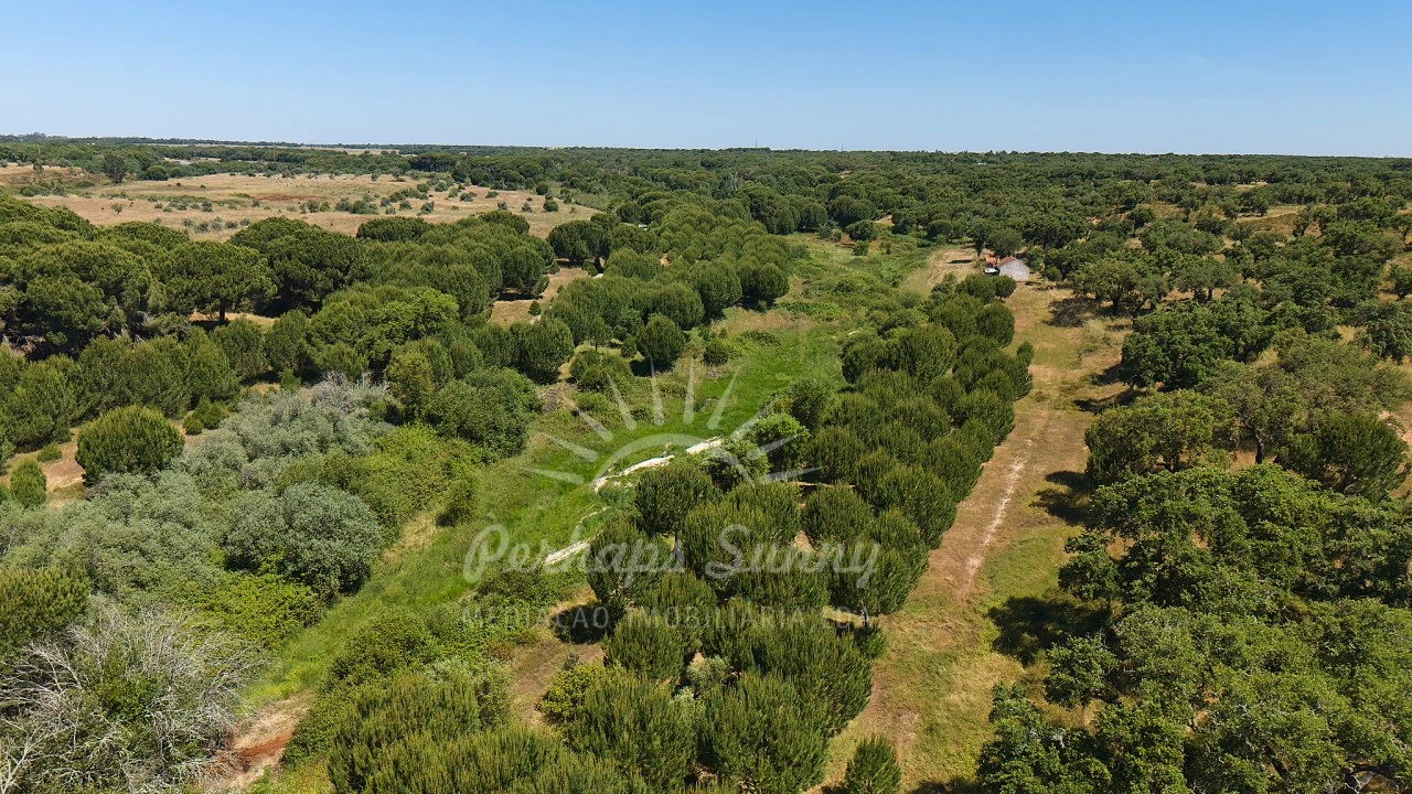 Terreno Misto para Venda em Grândola e Santa Margarida da Serra Foto 34