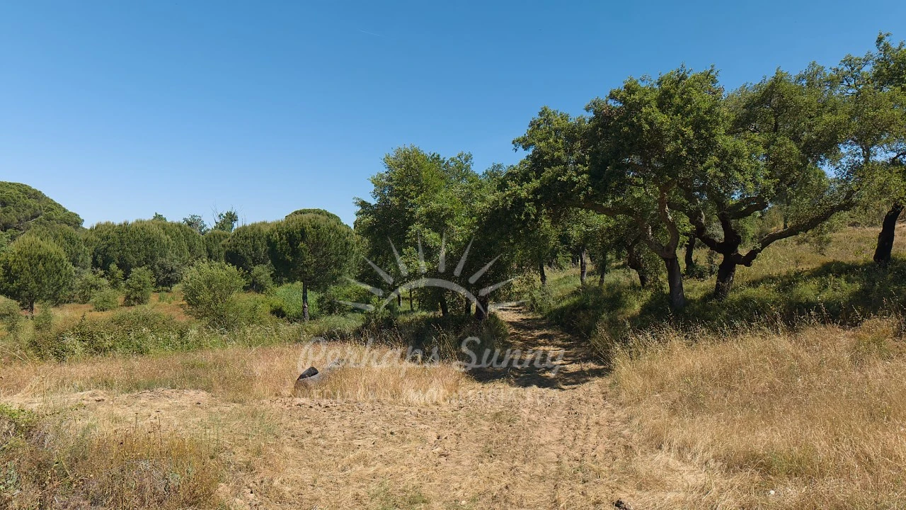 Terreno Misto para Venda em Grândola e Santa Margarida da Serra Foto 39