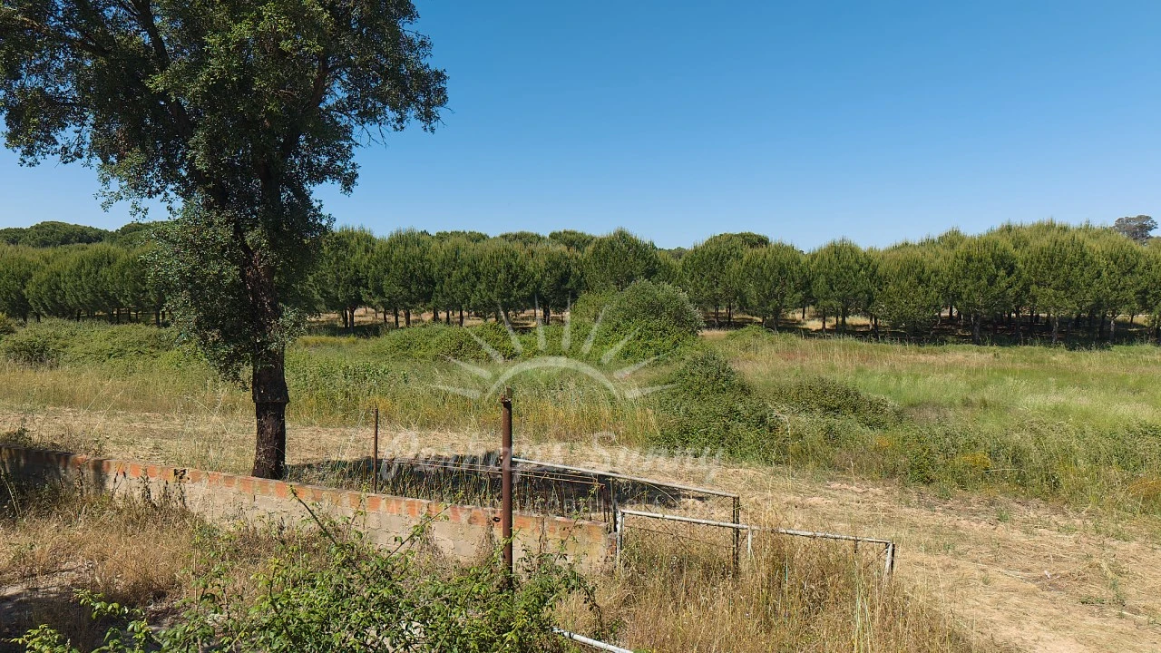 Terreno Misto para Venda em Grândola e Santa Margarida da Serra Foto 40