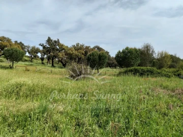 Terreno Misto para Venda em Grândola e Santa Margarida da Serra