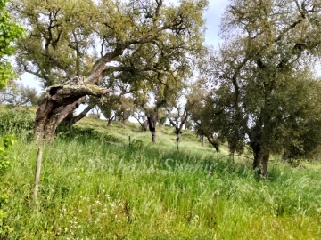 Terreno Misto para Venda em Grândola e Santa Margarida da Serra