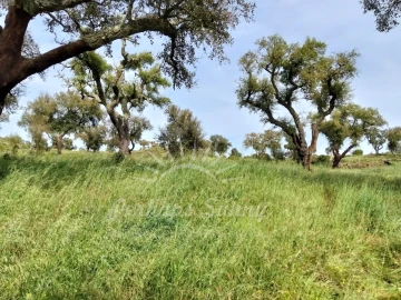 Terreno Misto para Venda em Grândola e Santa Margarida da Serra