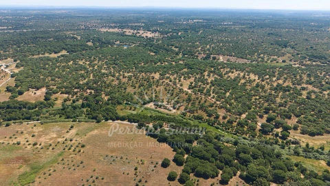 Terreno Misto para Venda em Grândola e Santa Margarida da Serra
