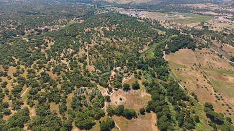 Terreno Misto para Venda em Grândola e Santa Margarida da Serra