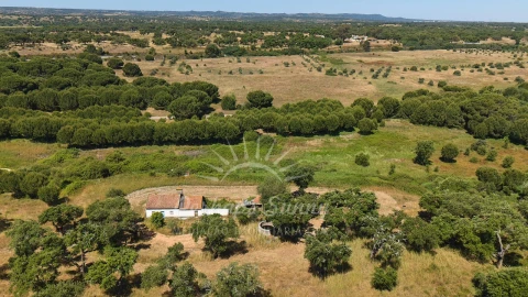 Terreno Misto para Venda em Grândola e Santa Margarida da Serra