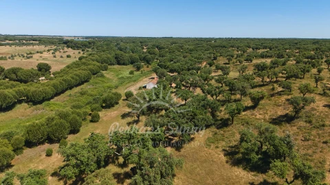 Terreno Misto para Venda em Grândola e Santa Margarida da Serra
