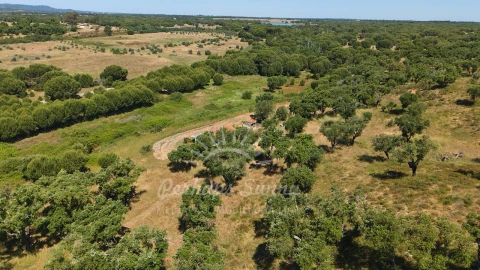 Terreno Misto para Venda em Grândola e Santa Margarida da Serra