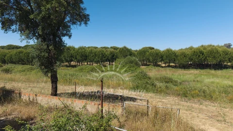 Terreno Misto para Venda em Grândola e Santa Margarida da Serra
