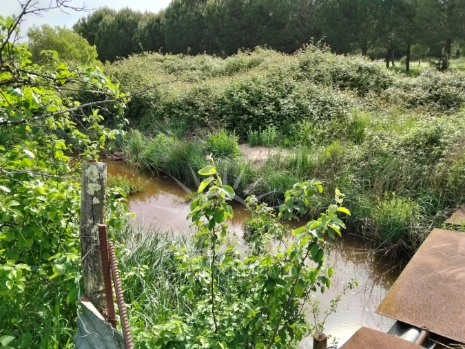 Terreno Misto para Venda em Grândola e Santa Margarida da Serra Foto 4